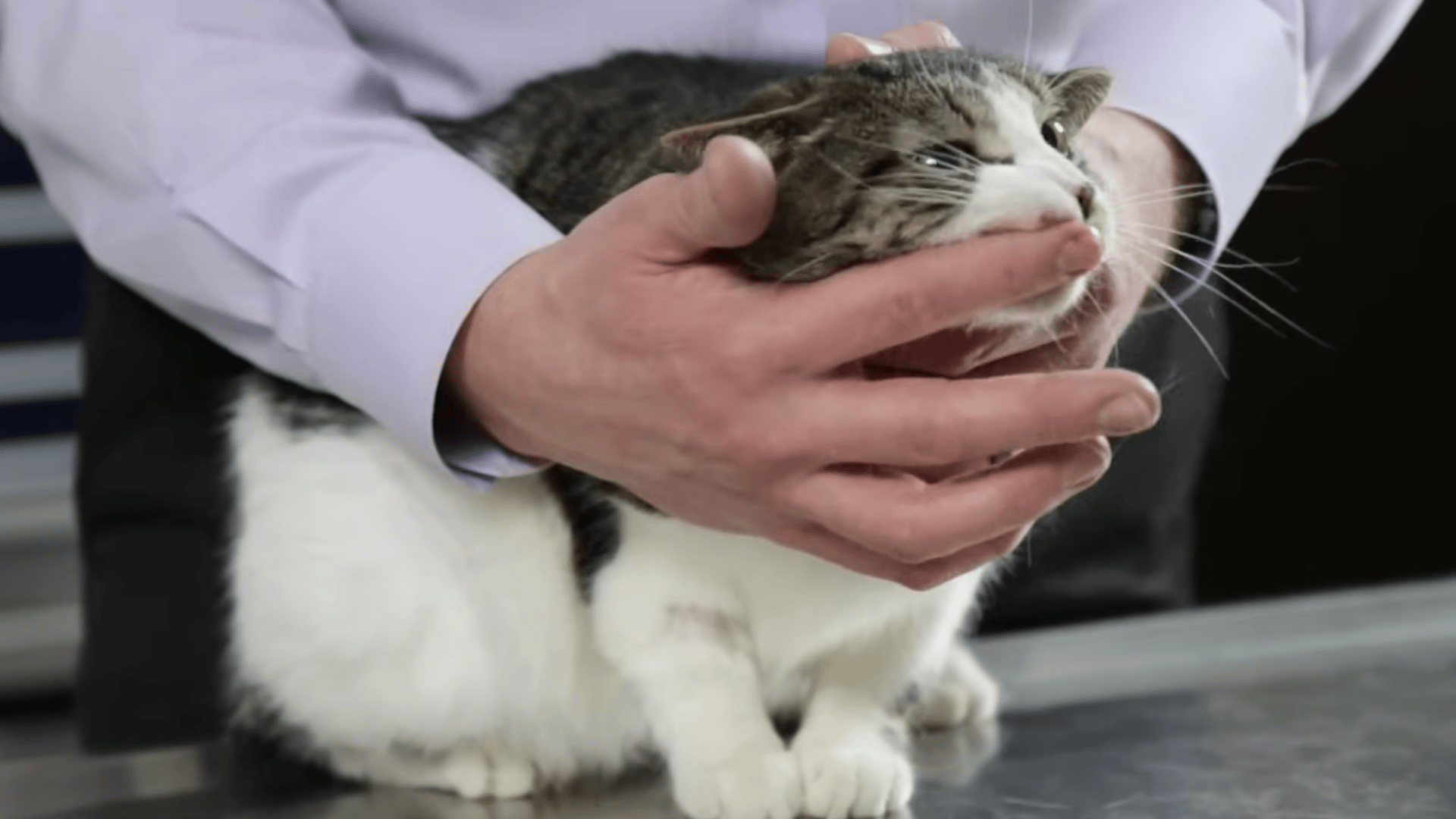 Finger Rubbing the Teeth