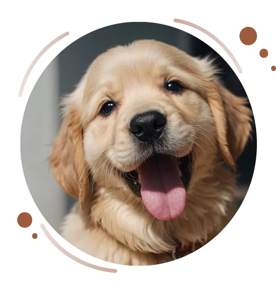 Group 1171276437 (1)