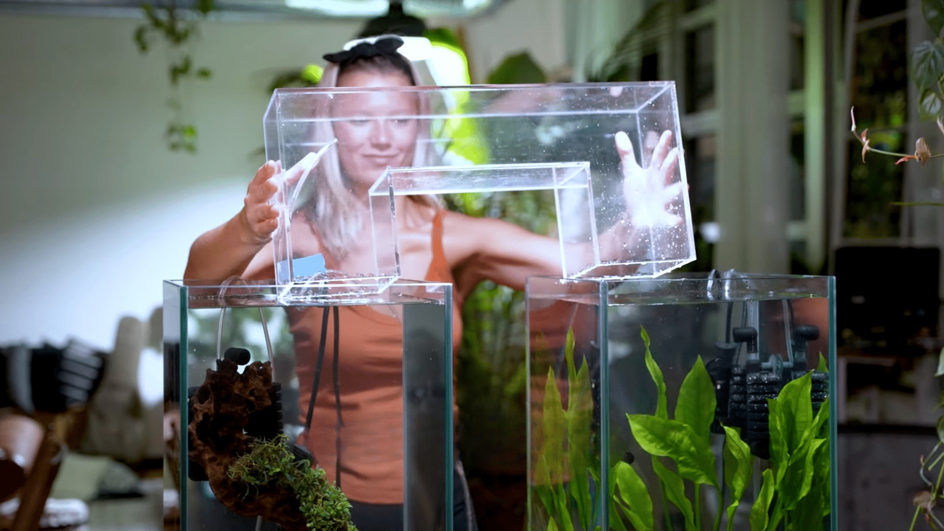 Step 10: Reinstall Decor and Restart Equipment