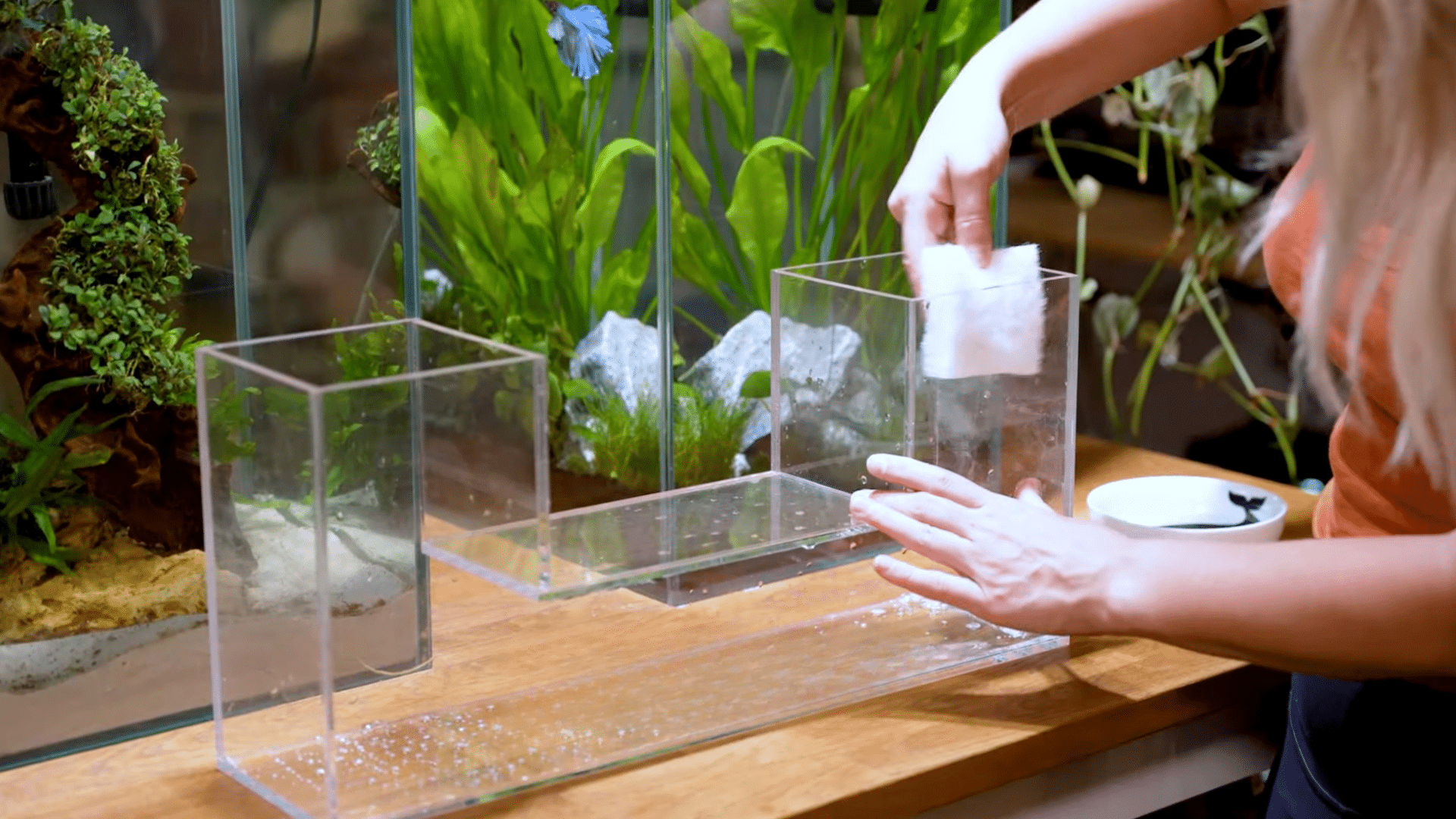 Step 5: Scrub Hard-to-Reach Areas with an Algae Pad