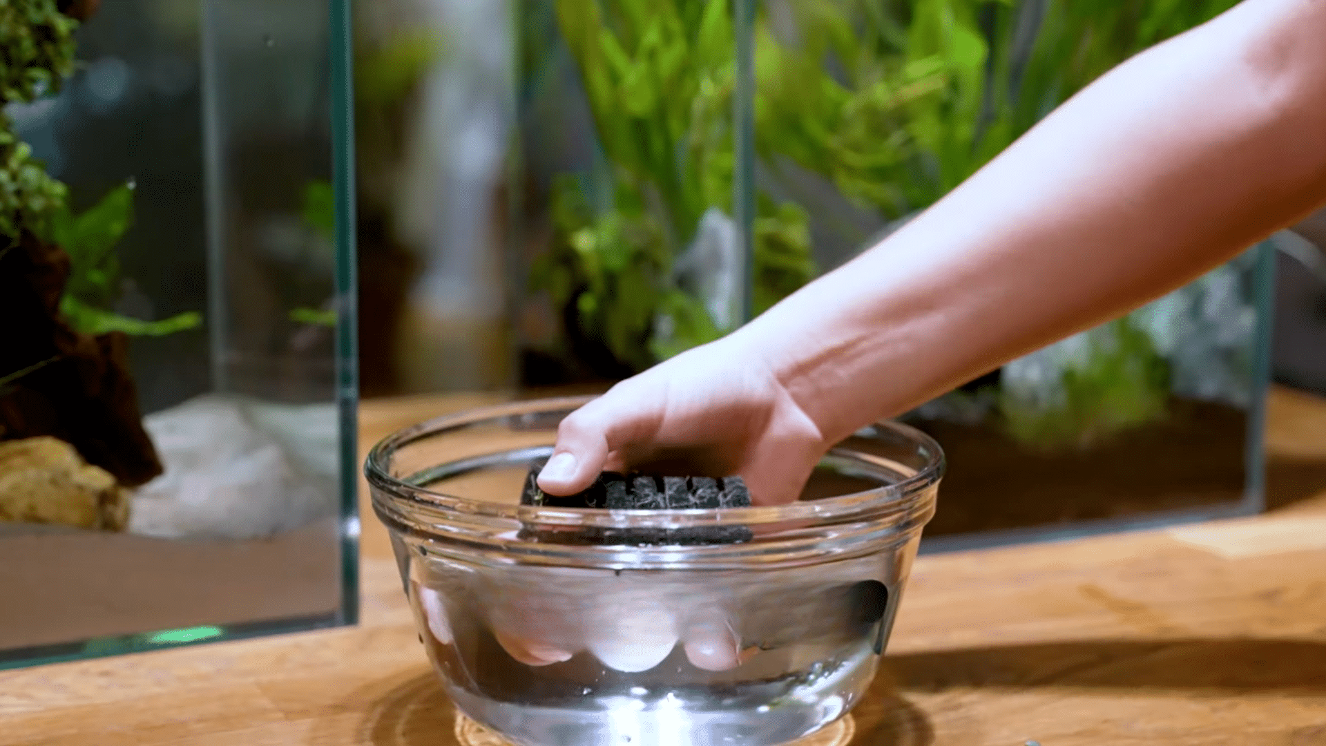 Step 7: Gently Clean Sponge Filters