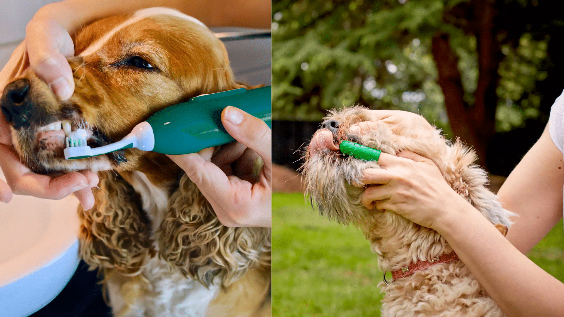 What Type of Toothbrush Should You Use?