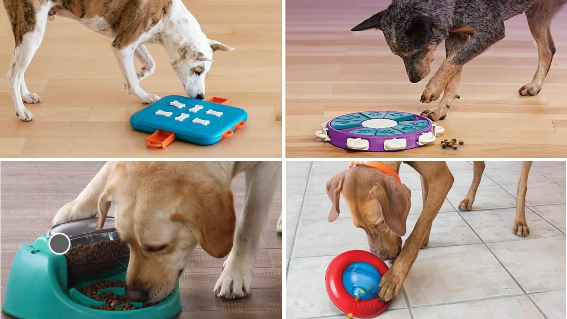 Advanced Level Puzzle Toys