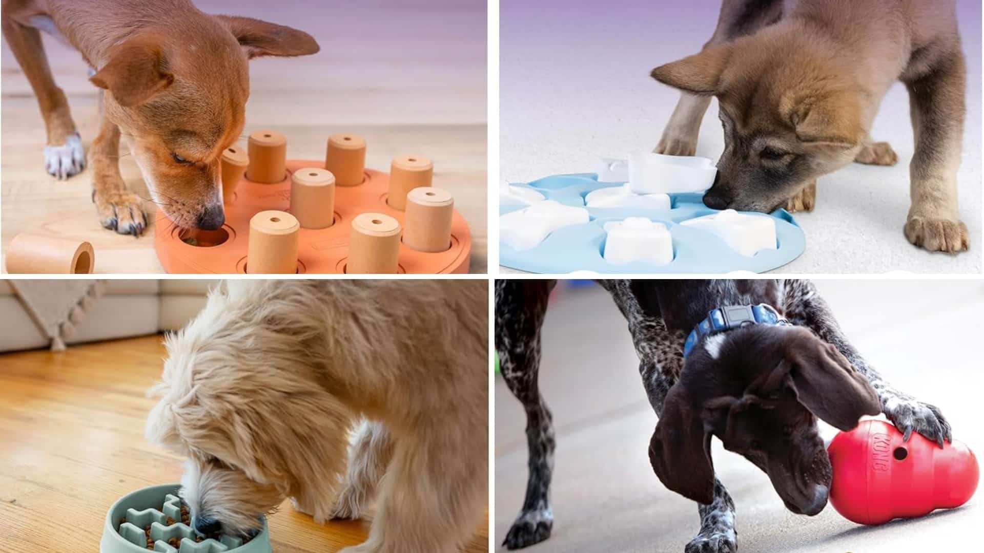 Beginner Level Puzzle Toys