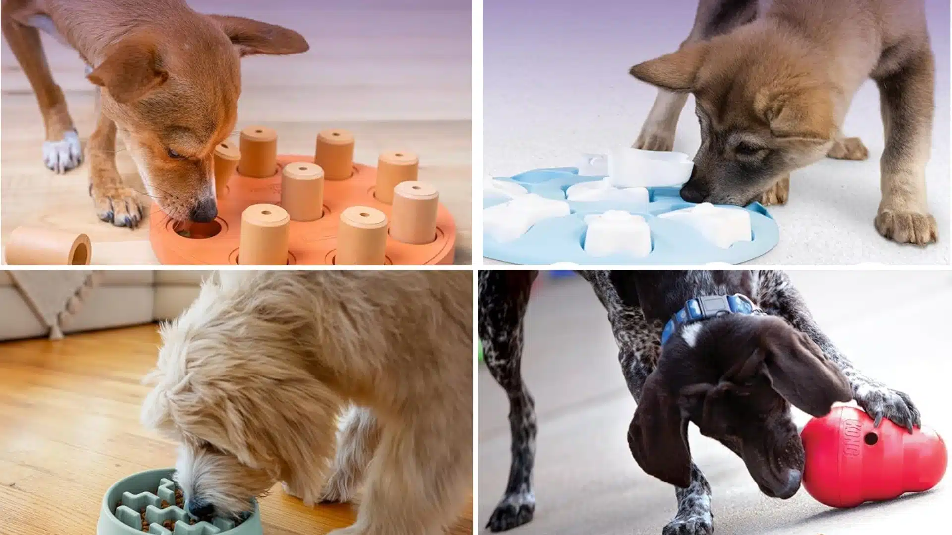 Beginner Level Puzzle Toys