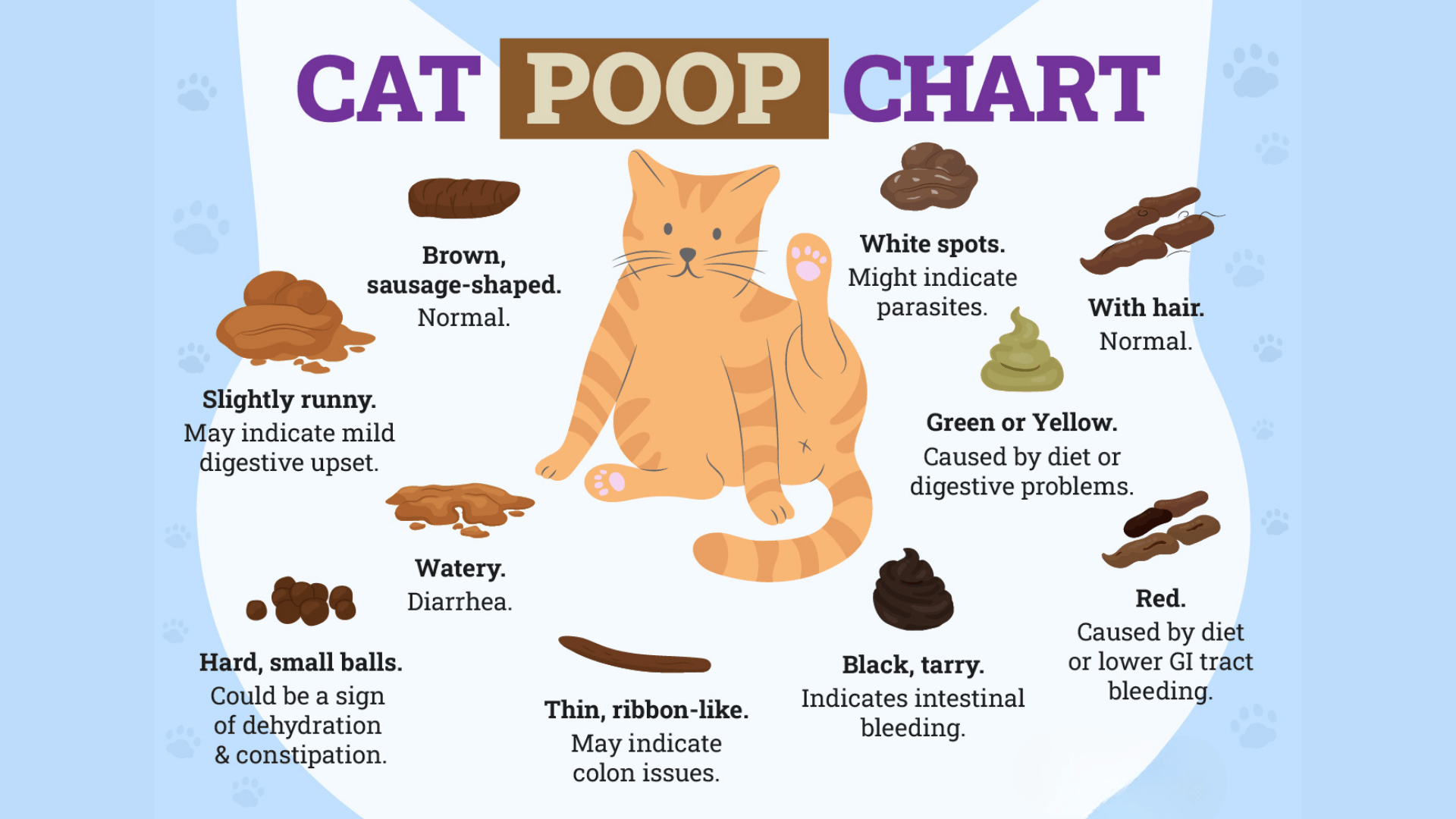 cat poop chart