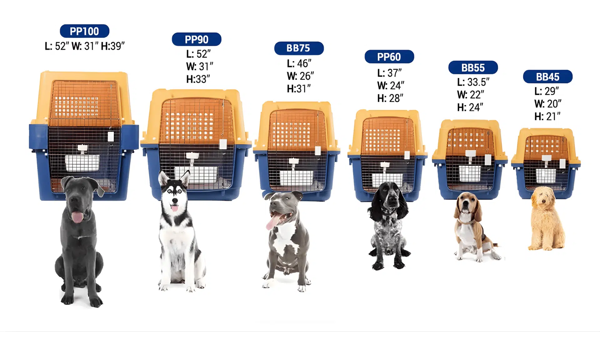 dog crate size