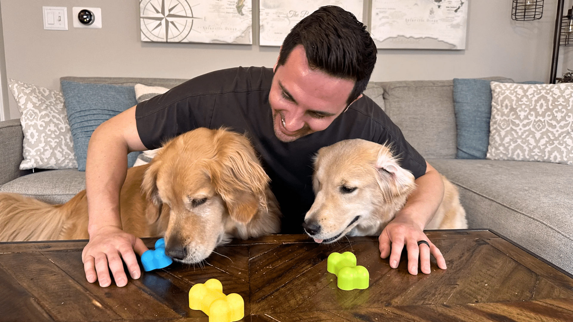 Engaging Enrichment Activities for Dogs