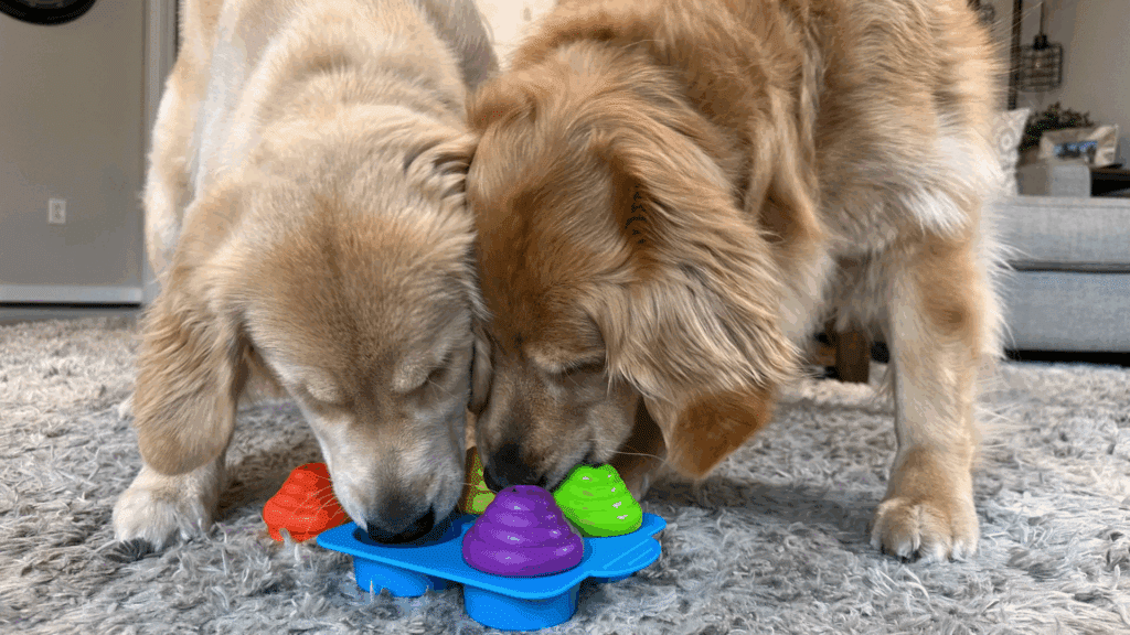 13 Dog Enrichment Activities that Actually Work