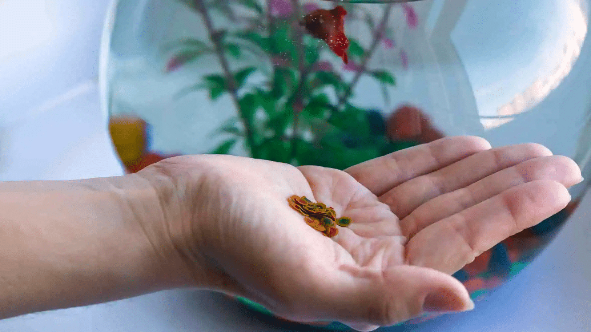 how much to feed betta fish