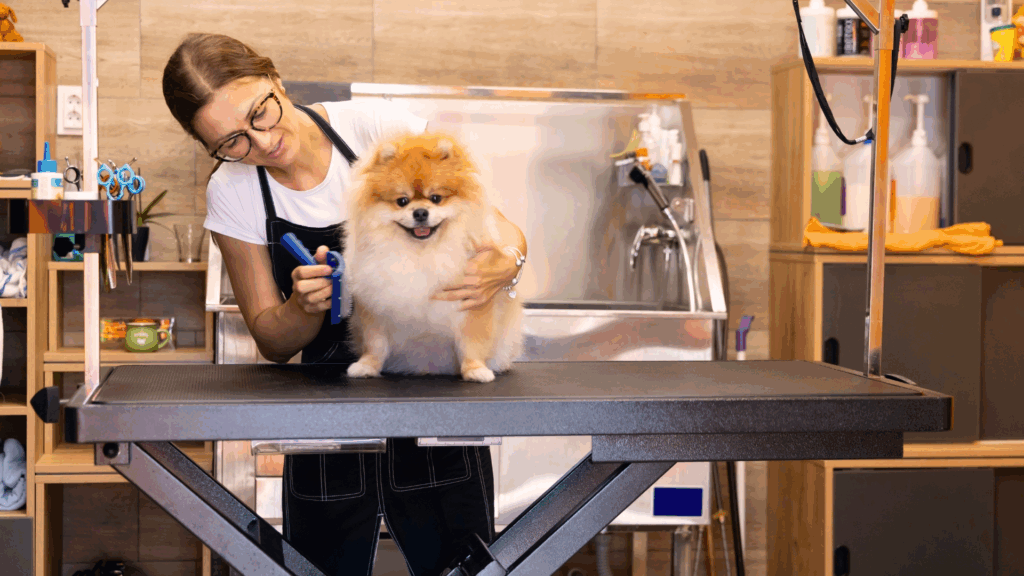 How to Become a Dog Groomer: My Step-By-Step Guide
