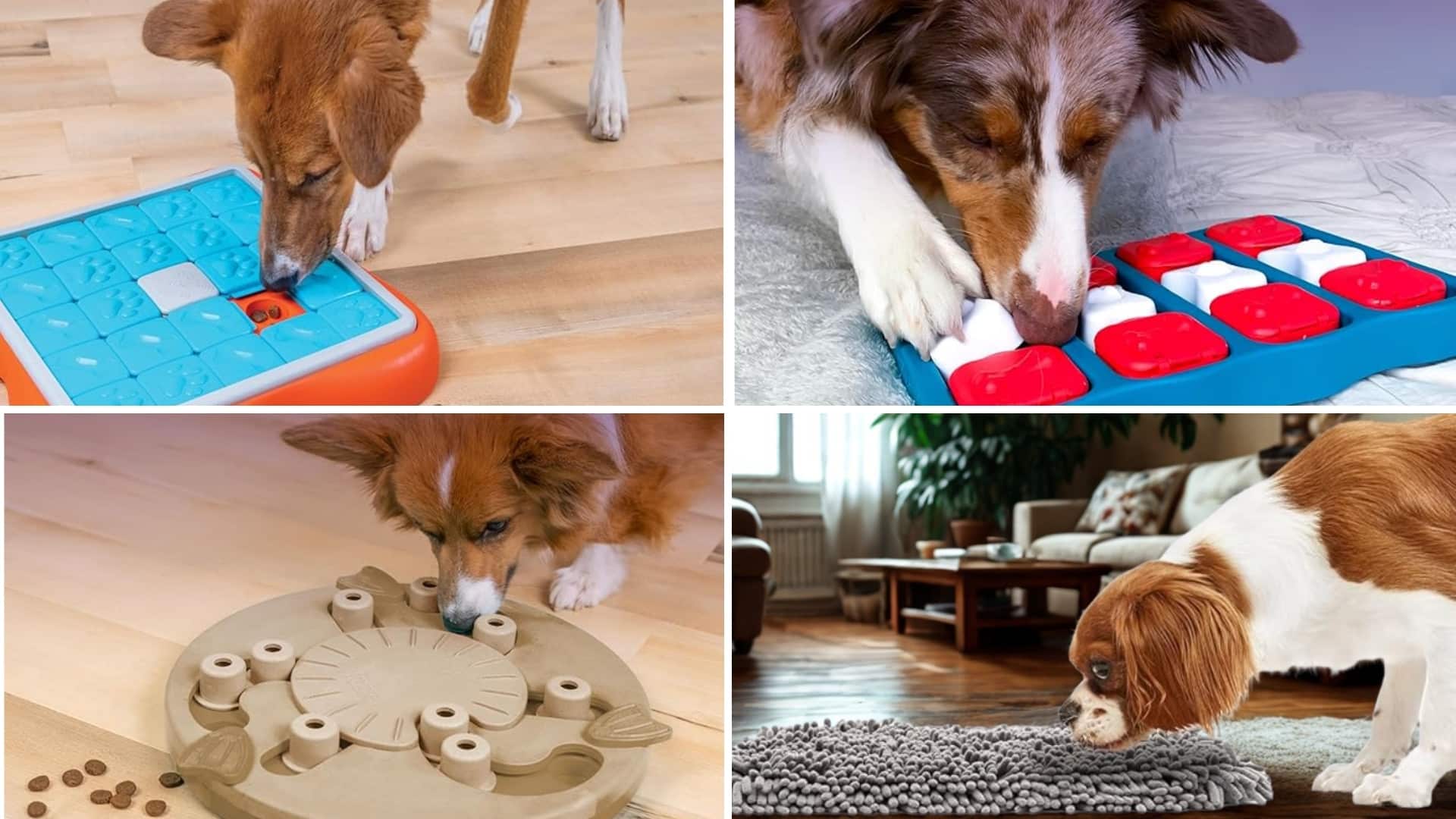 Intermediate Level Puzzle Toys