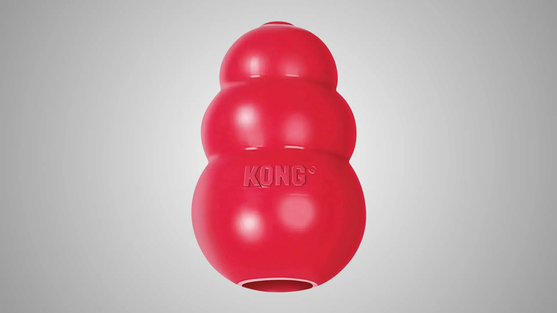 Kong Classic Dog Toy