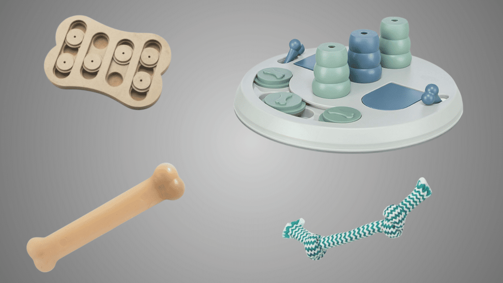 top dog toys that boost your pups happiness