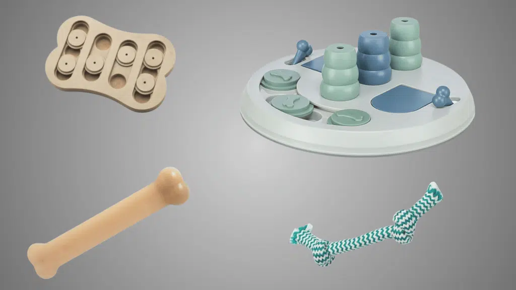 top dog toys that boost your pups happiness