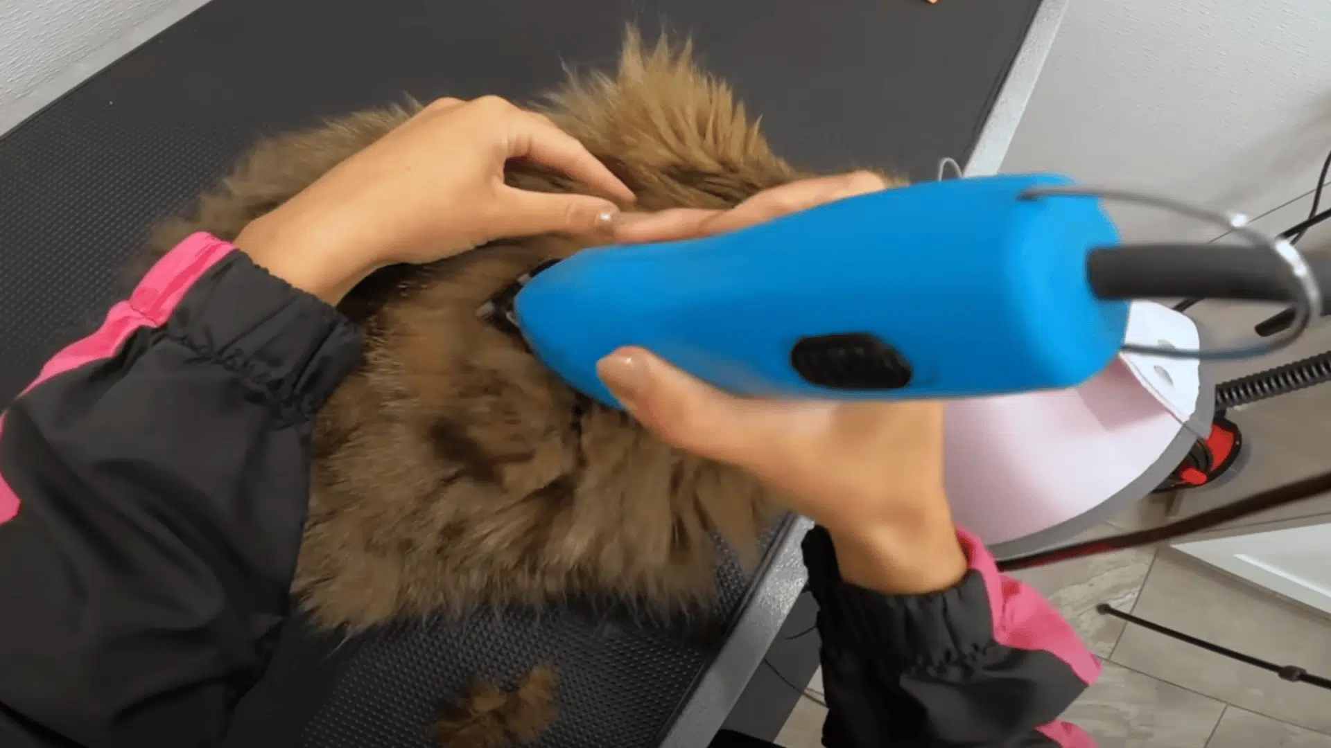 Address Hygiene Needs