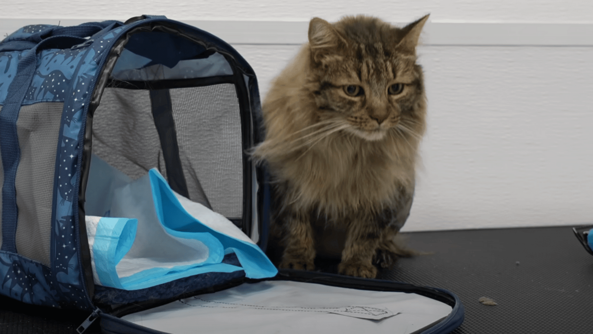 Finish and Provide Comfort