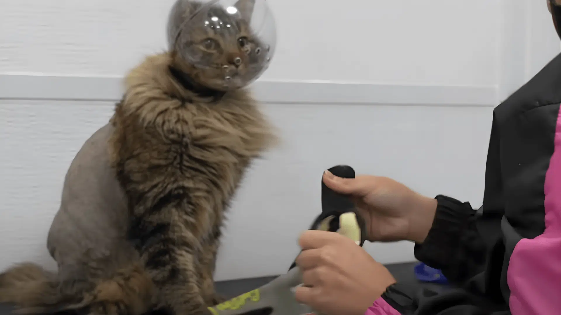 Manage Aggression and Stress