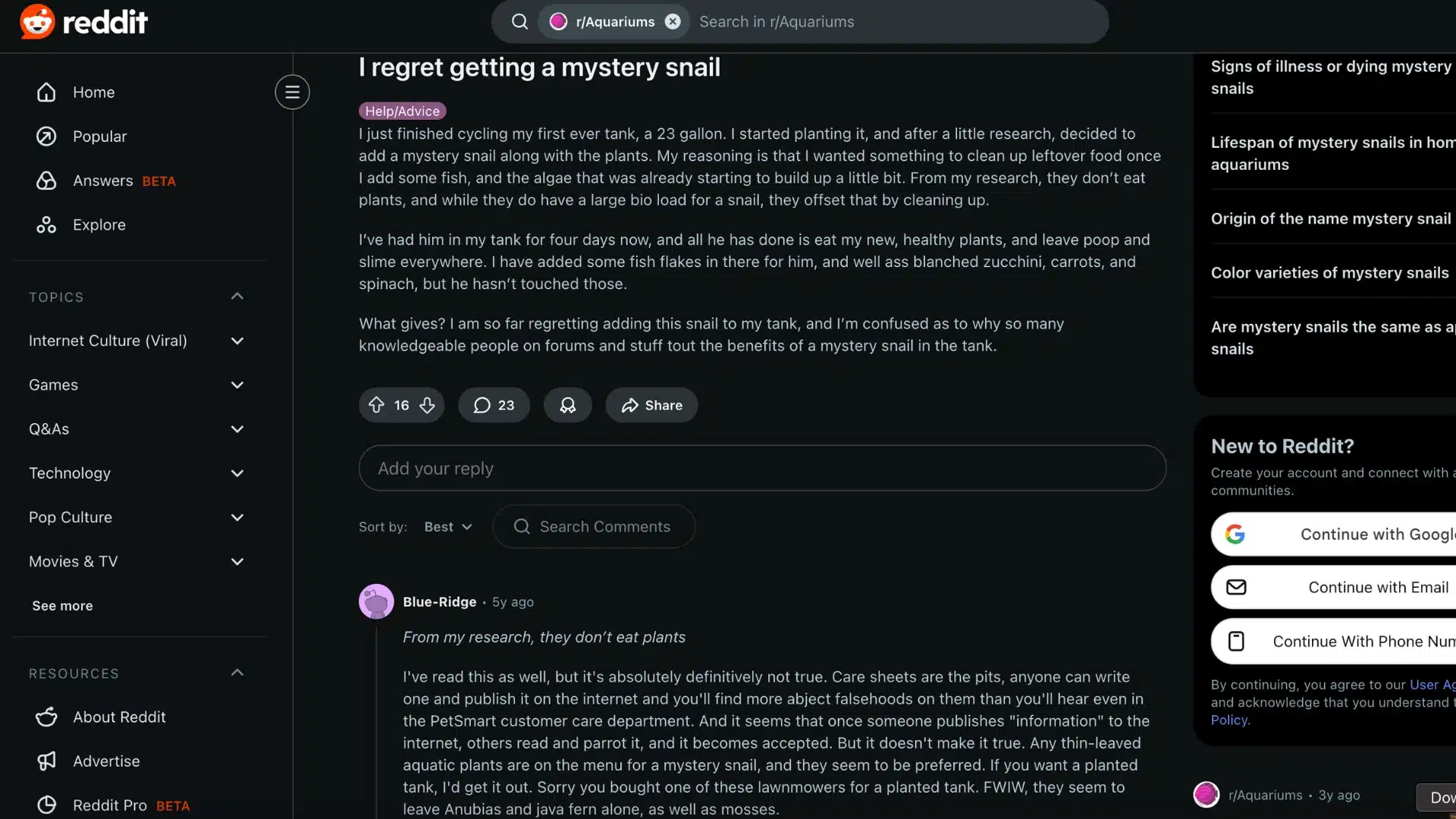 Reddit post about mystery snail in aquarium discussing plant damage, feeding behavior, and user concerns in fish tank