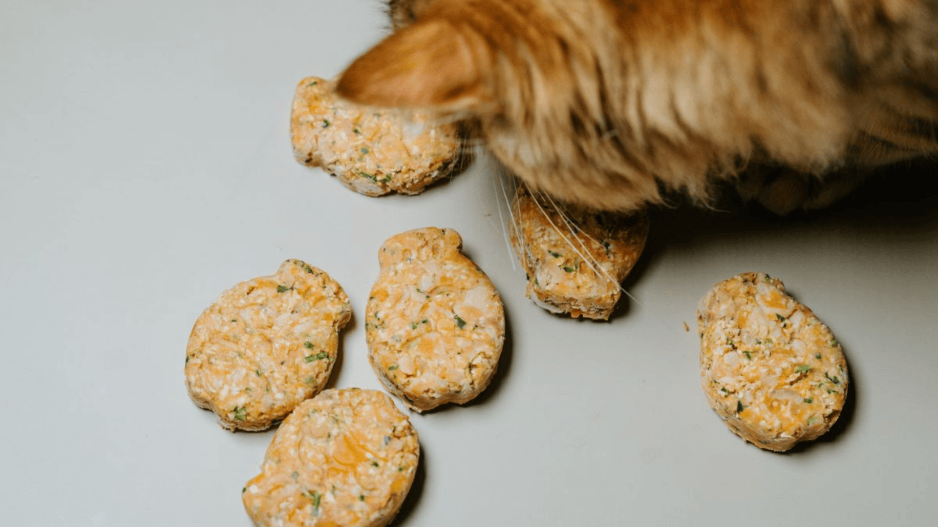 Salmon and Sweet Potato Blend