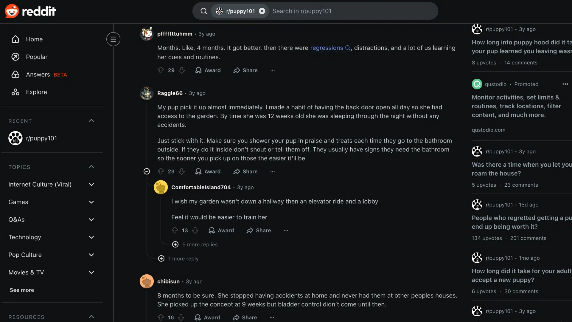 What Other Puppy Owners Say About Potty Training Time