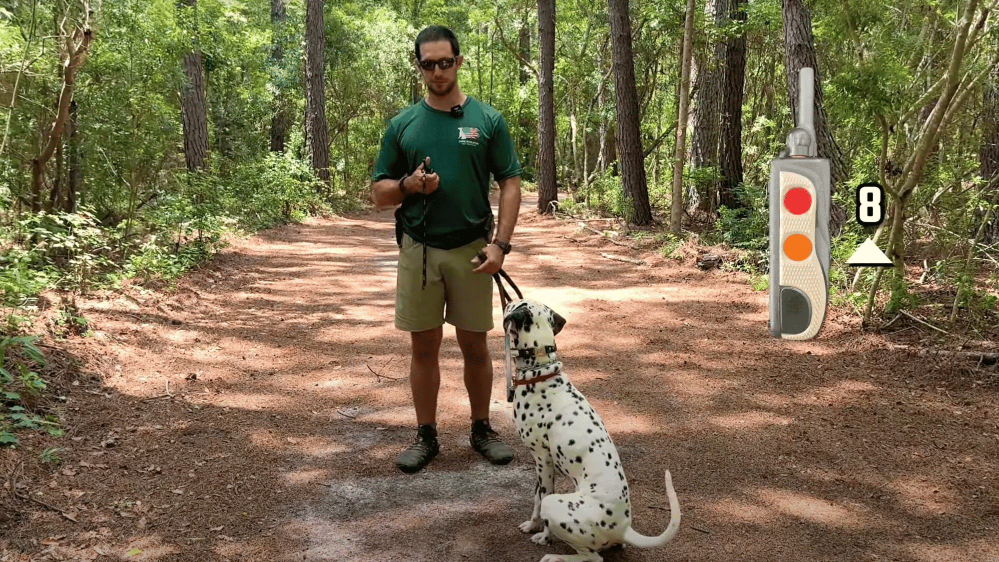 find the right working level