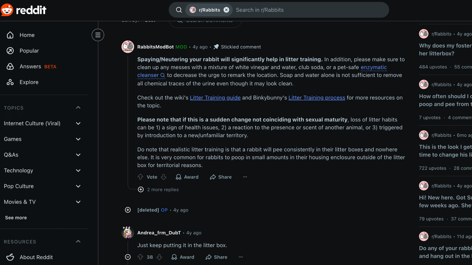 how to litter train a rabbit-reddit review