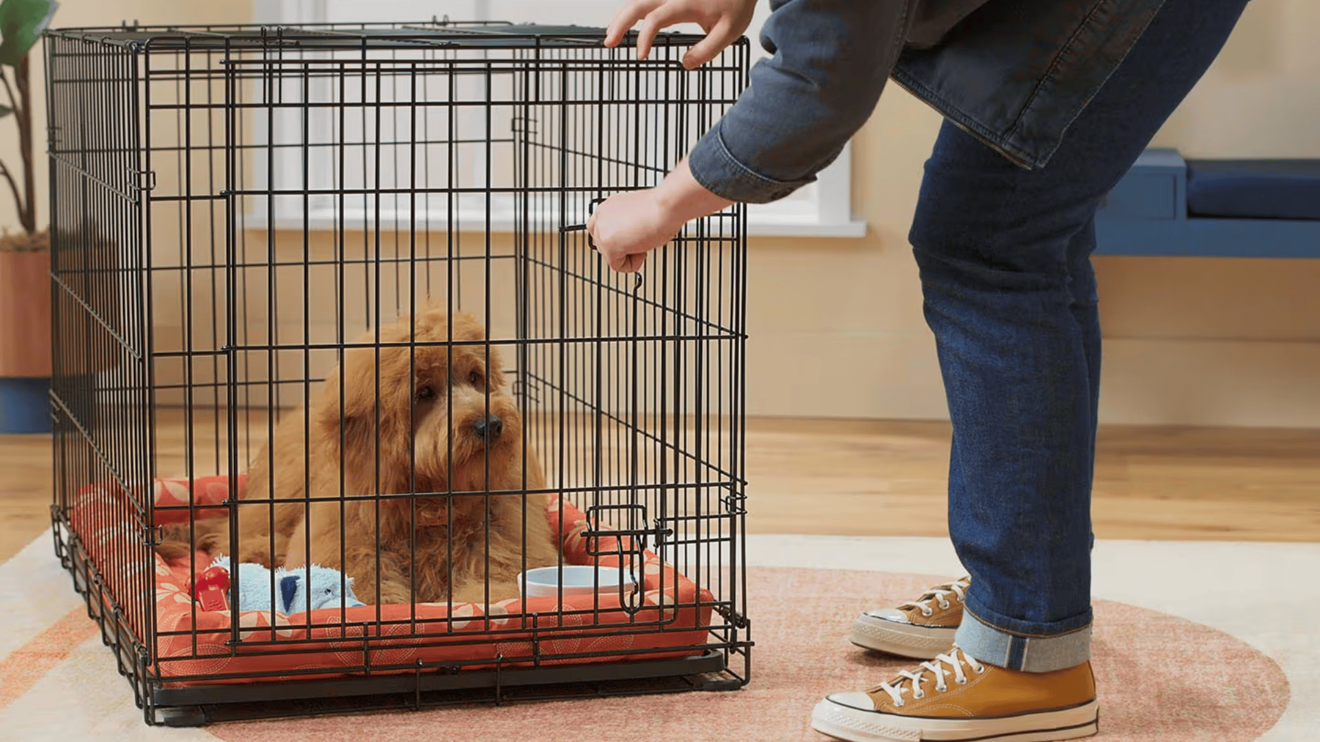 separation anxiety in dogs featured image
