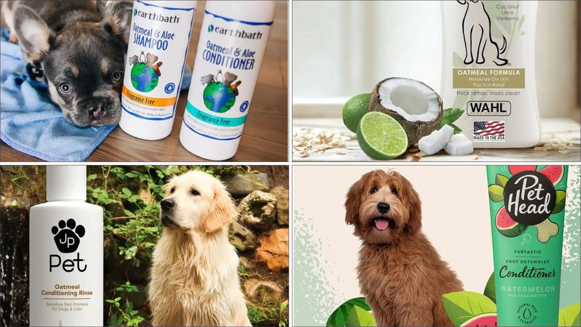 top dog conditioners you can choose from