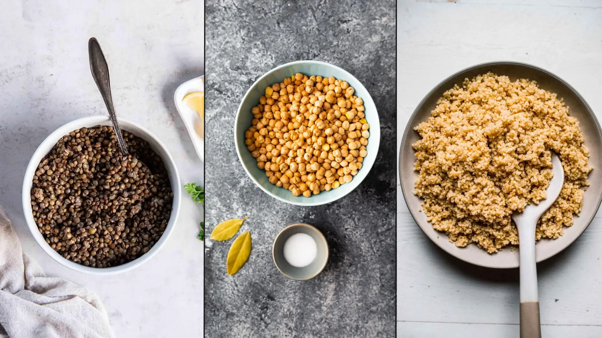 Collage of cooked lentils, chickpeas, and quinoa displayed as common plant based protein sources for balanced nutrition