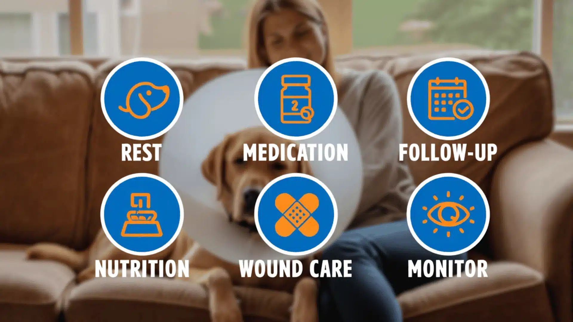 Dog resting at home with cone collar and care reminders for recovery and aftercare