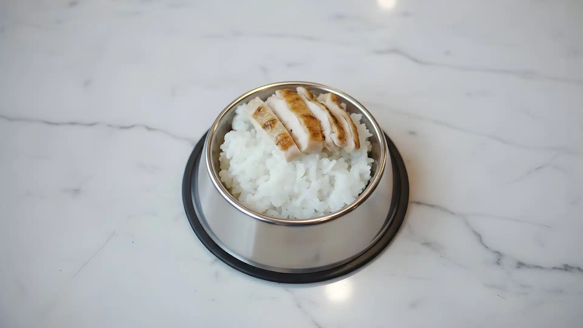 Metal dog bowl with plain white rice topped with sliced boiled chicken on a marble floor, suitable for bland diet meal
