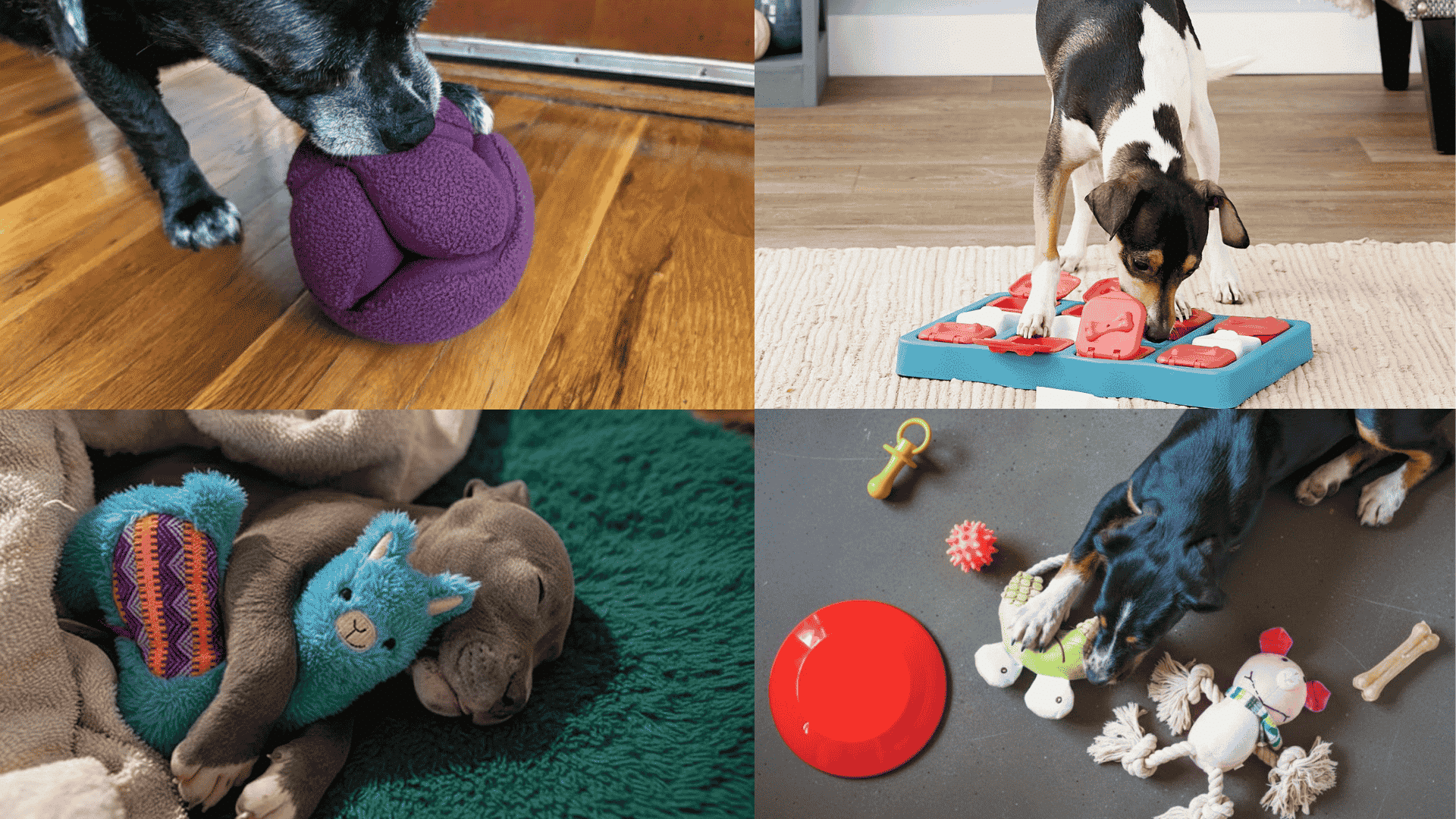 toys to keep dogs busy