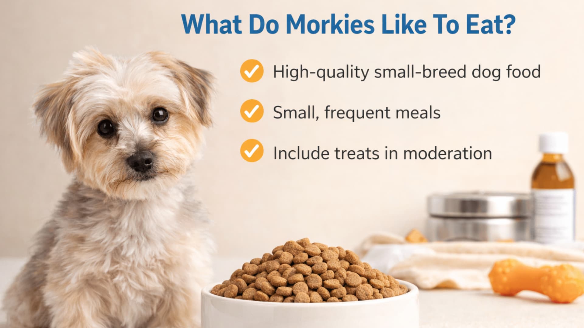 A cream-colored Cornish Rex cat sits on a yellow ottoman in a cozy living room