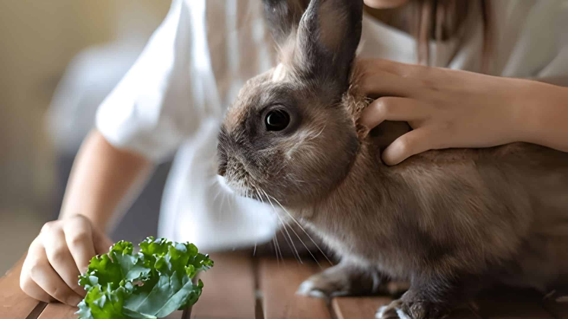 A pet owner gently petting a brown bunny next to leafy greens