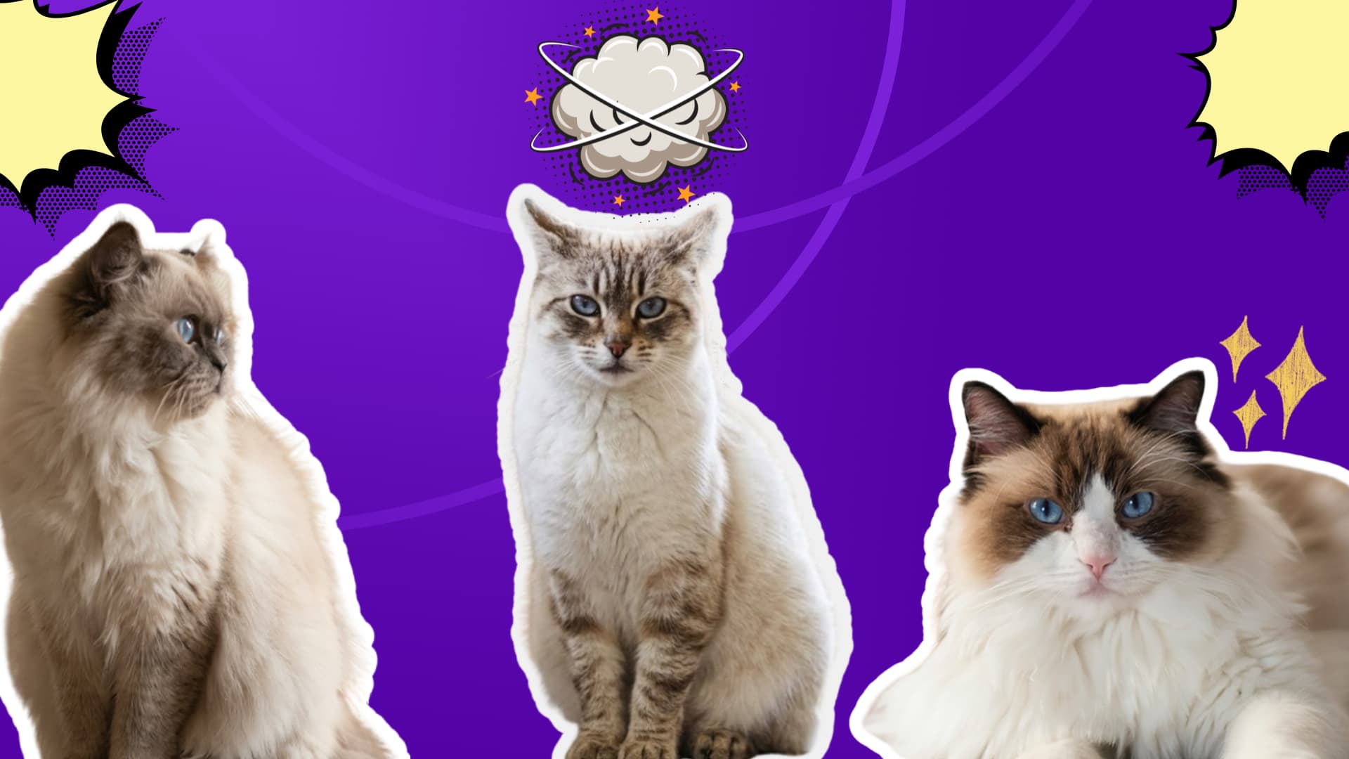 A purple background featuring several small blue eyes cats and various yellow cartoon icons