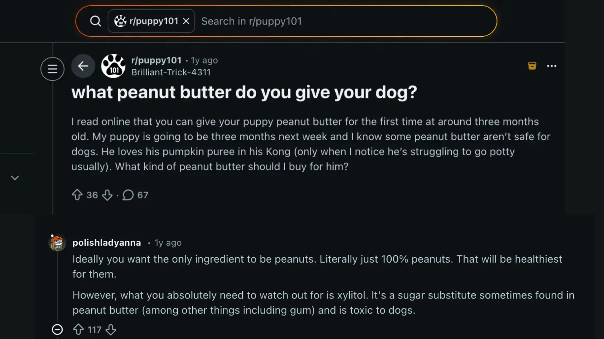 A reddit discussion post disccusing about peanut butter for dogs