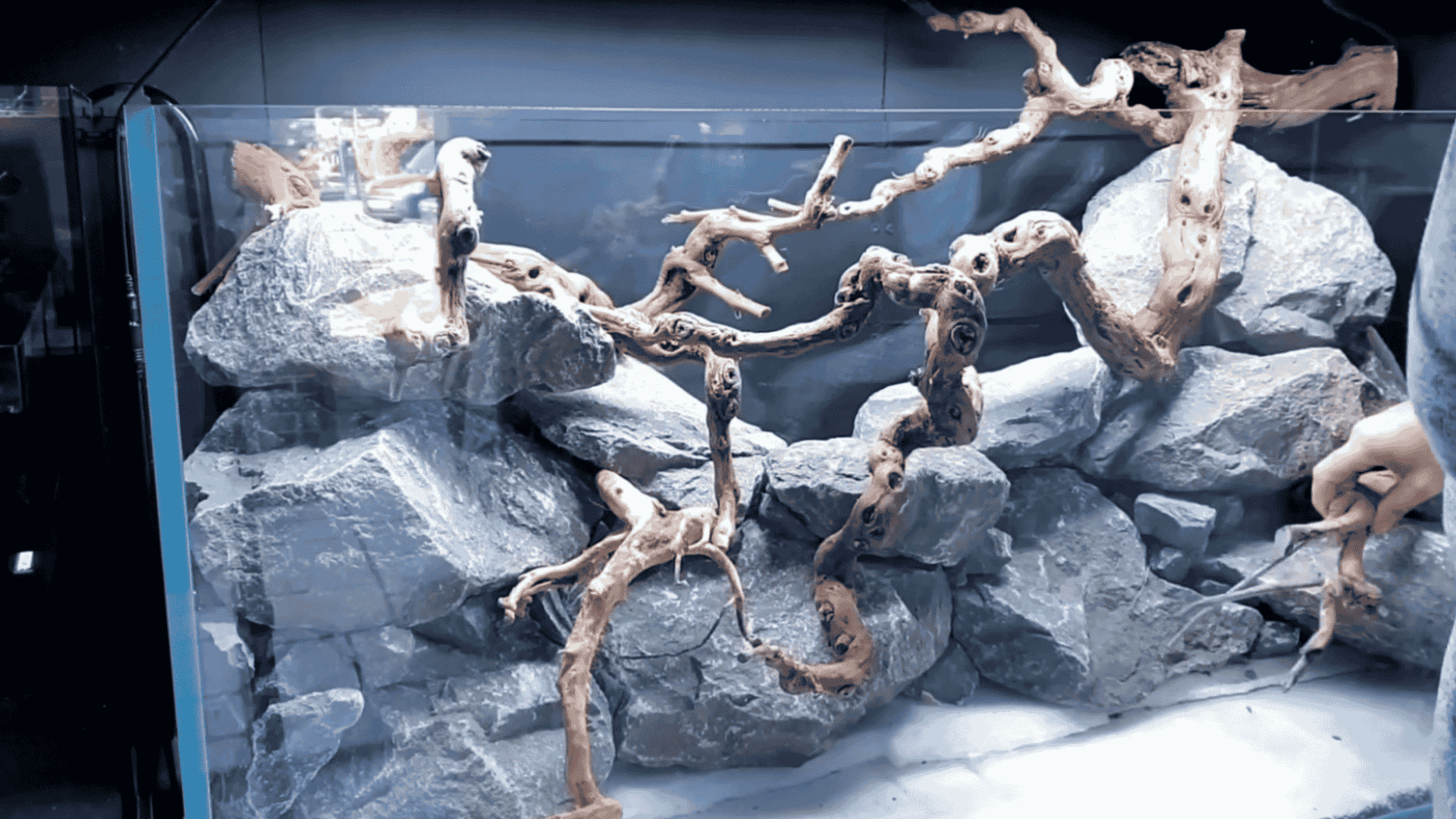 Aquarium hardscape with gray rocks and twisted driftwood branches arranged inside a glass tank