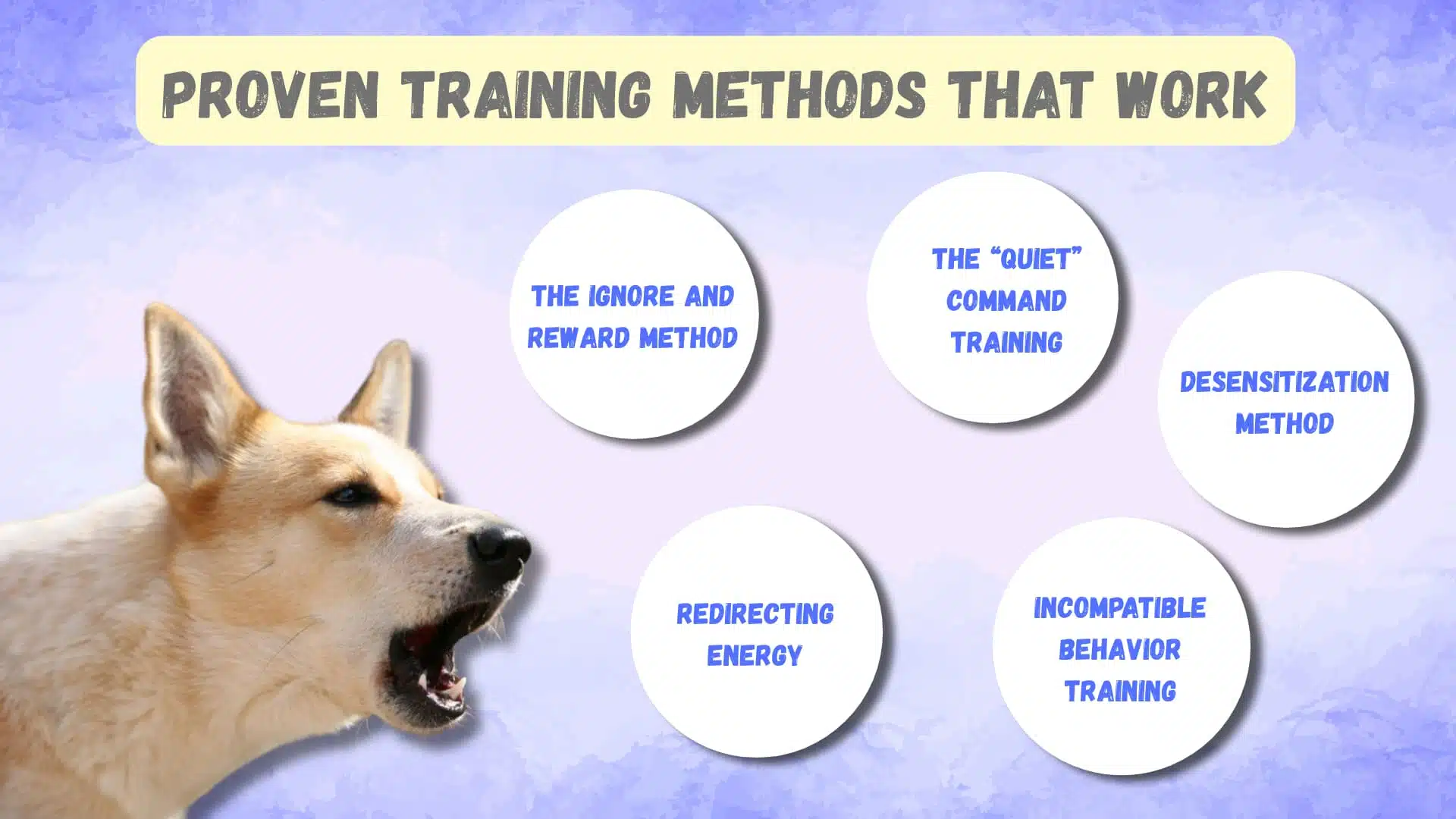 Barking dog with training methods infographic on behavior control techniques