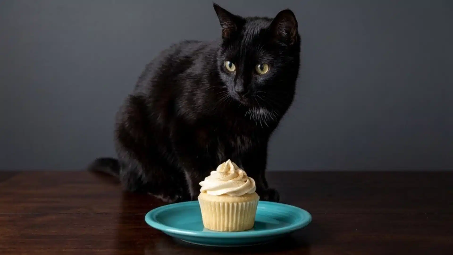 Black cat sitting on a table looking at a frosted cupcake on a blue plate, showing curiosity toward sweet human food
