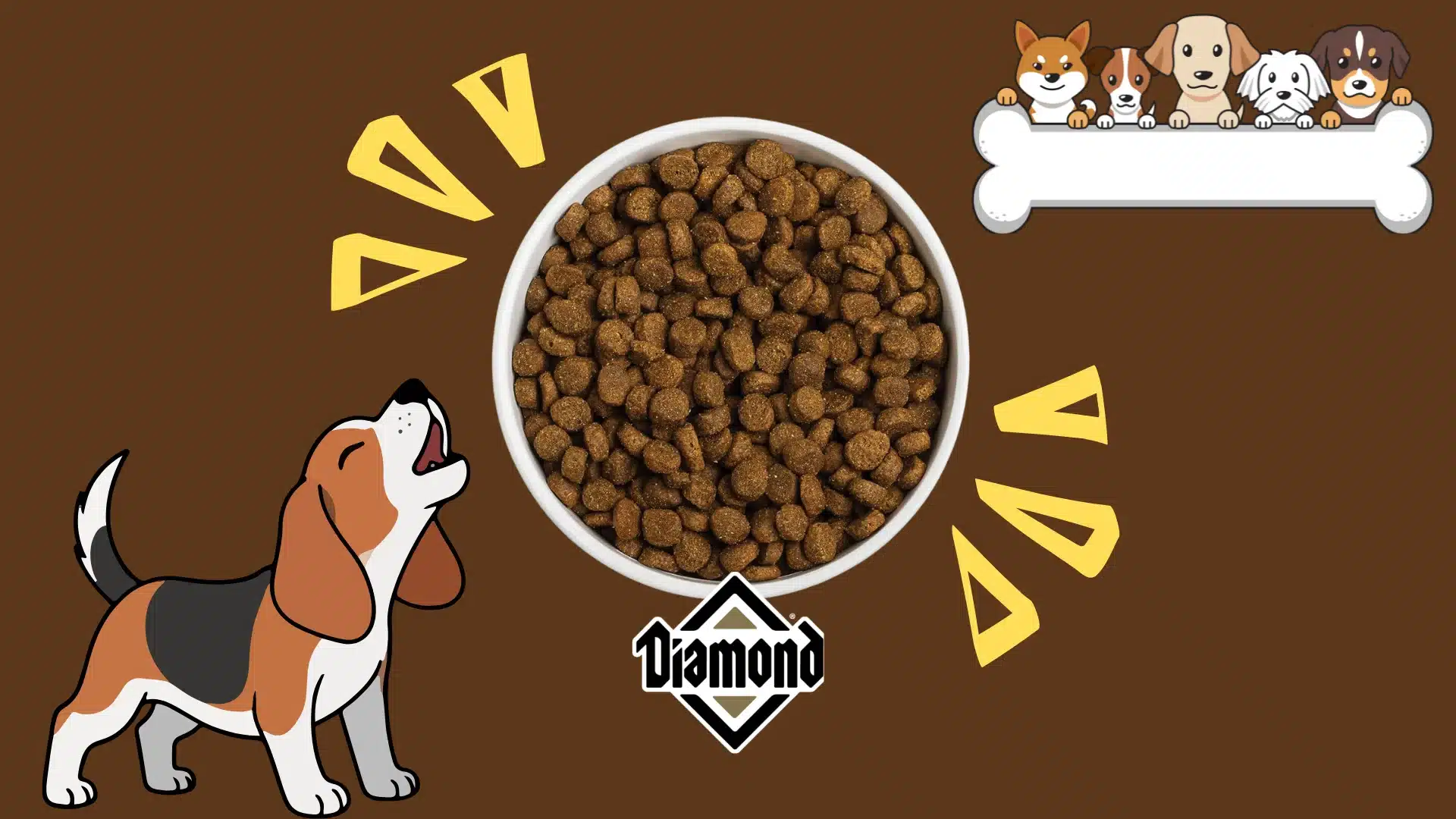 Bowl of Diamond dog food kibble with cartoon dog and icons highlighting taste and appeal