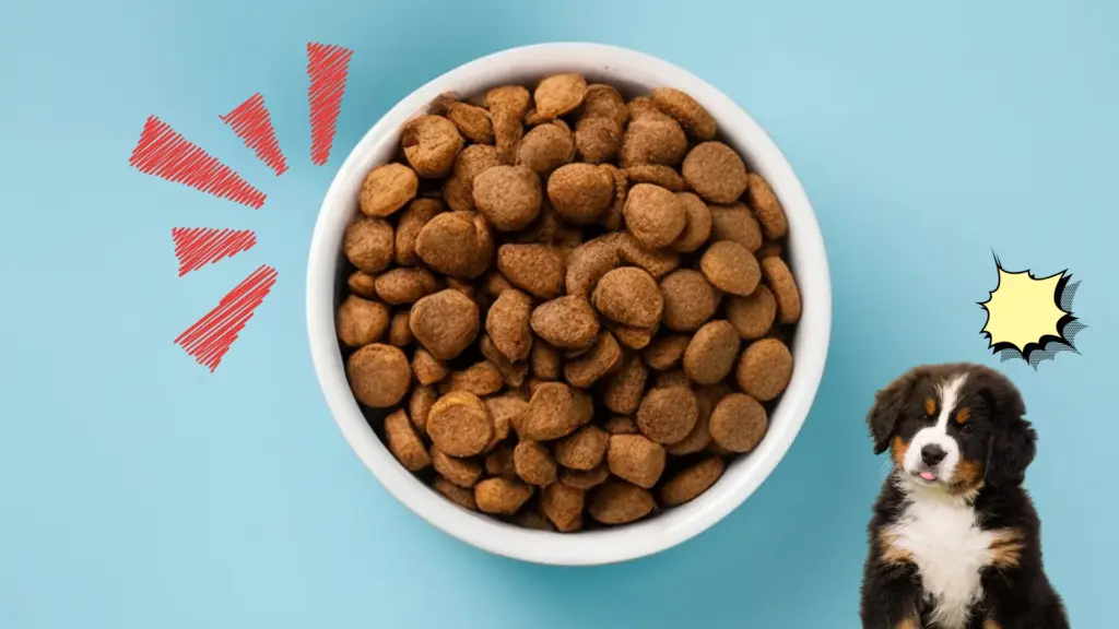 Bowl of dry dog kibble with arrows pointing at it and a puppy beside it on a blue background