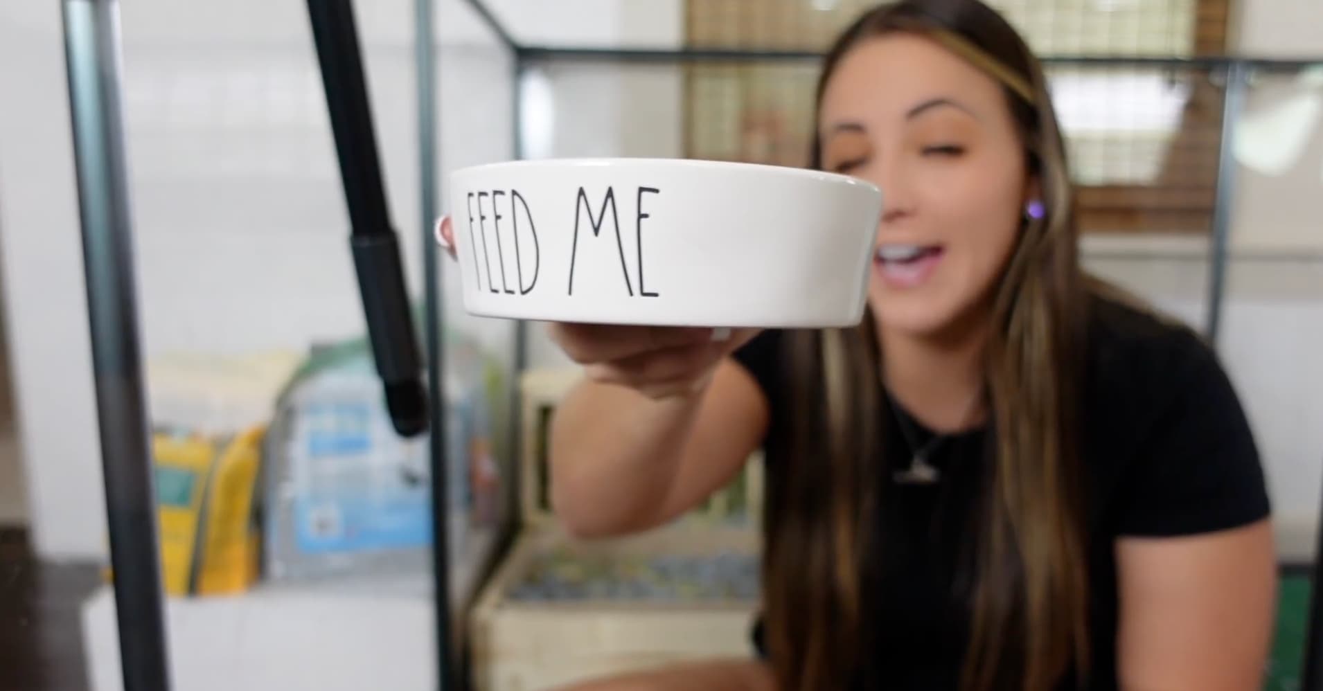 Ceramic rabbit food bowl used in bunny cage setup for serving pellets or fresh greens in an indoor rabbit home