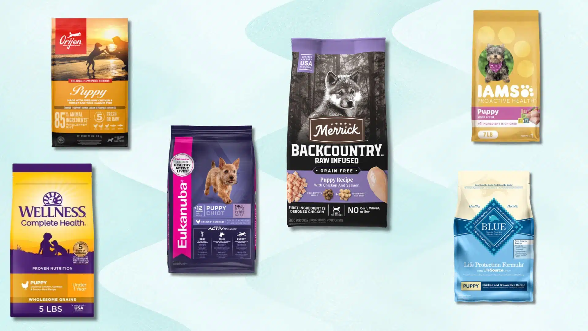 Collection of popular puppy food brands including Orijen, Merrick, Iams, Blue Buffalo, Eukanuba, and Wellness puppy formulas
