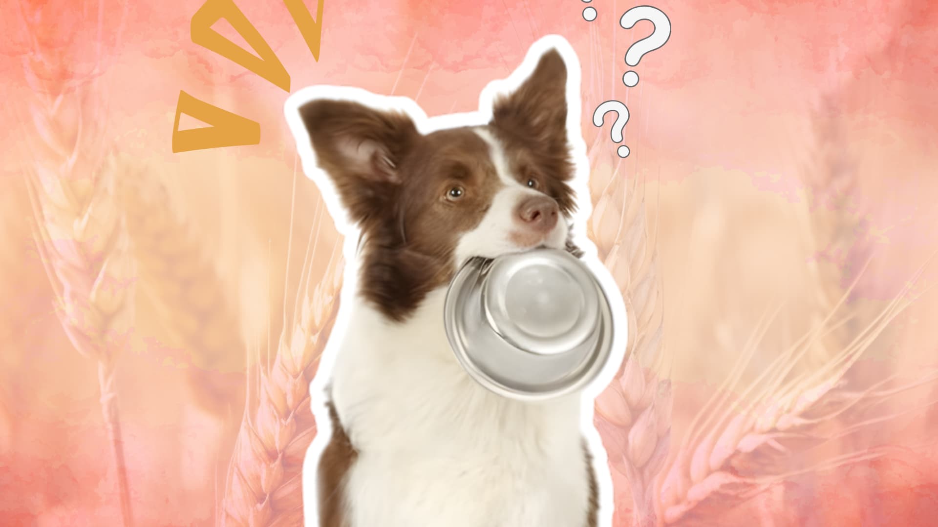 Dog holding empty bowl looking confused with grain background and question marks