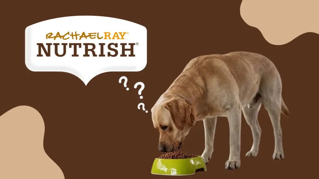 Dog looking at food bowl with Rachael Ray Nutrish logo, showing curiosity about dog food choice