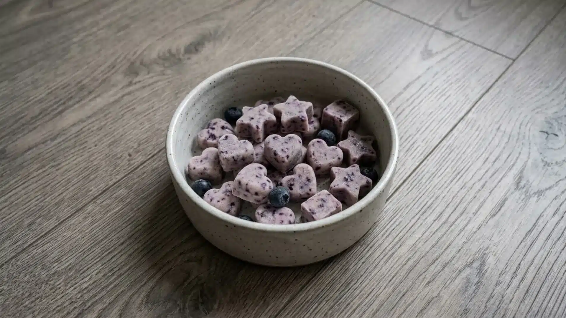 Frozen yogurt dog treats with blueberries in a bowl on wooden floor, shaped bites with soft texture