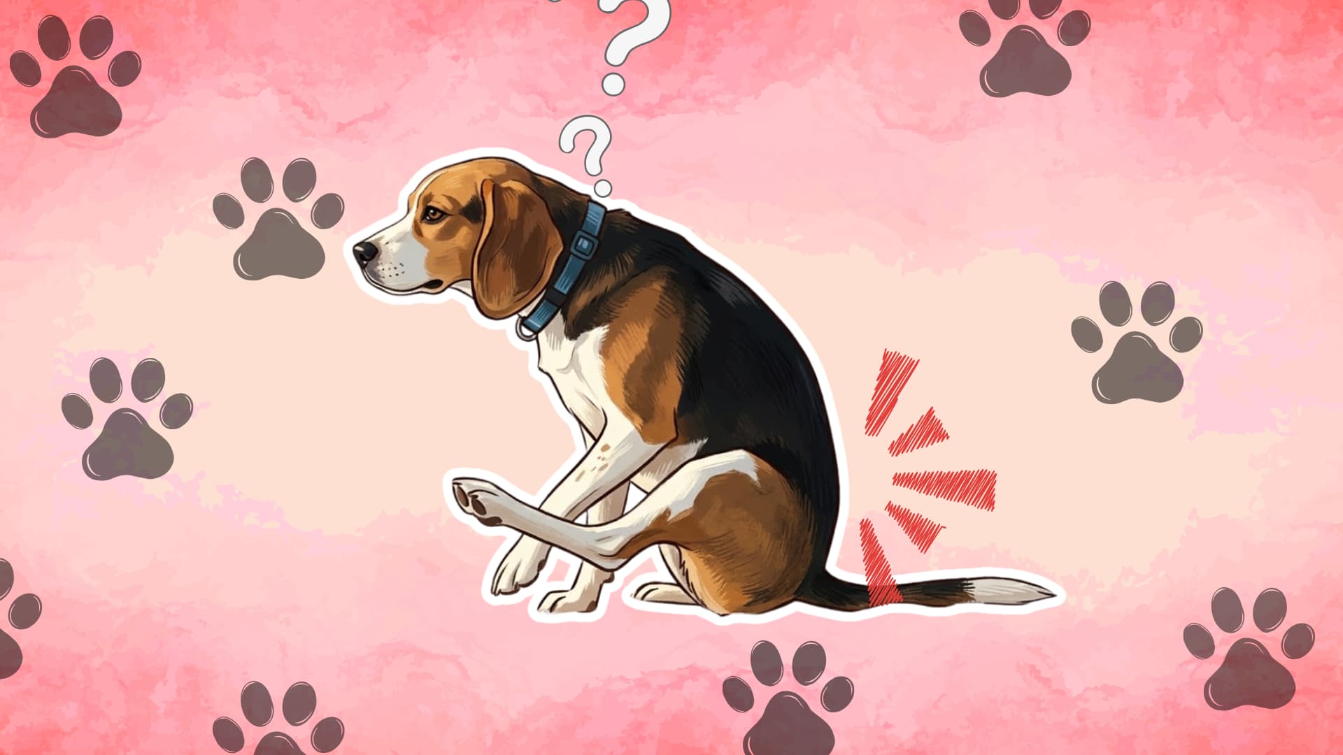 Illustration of a confused beagle scooting on a pink background with paw prints and symbols