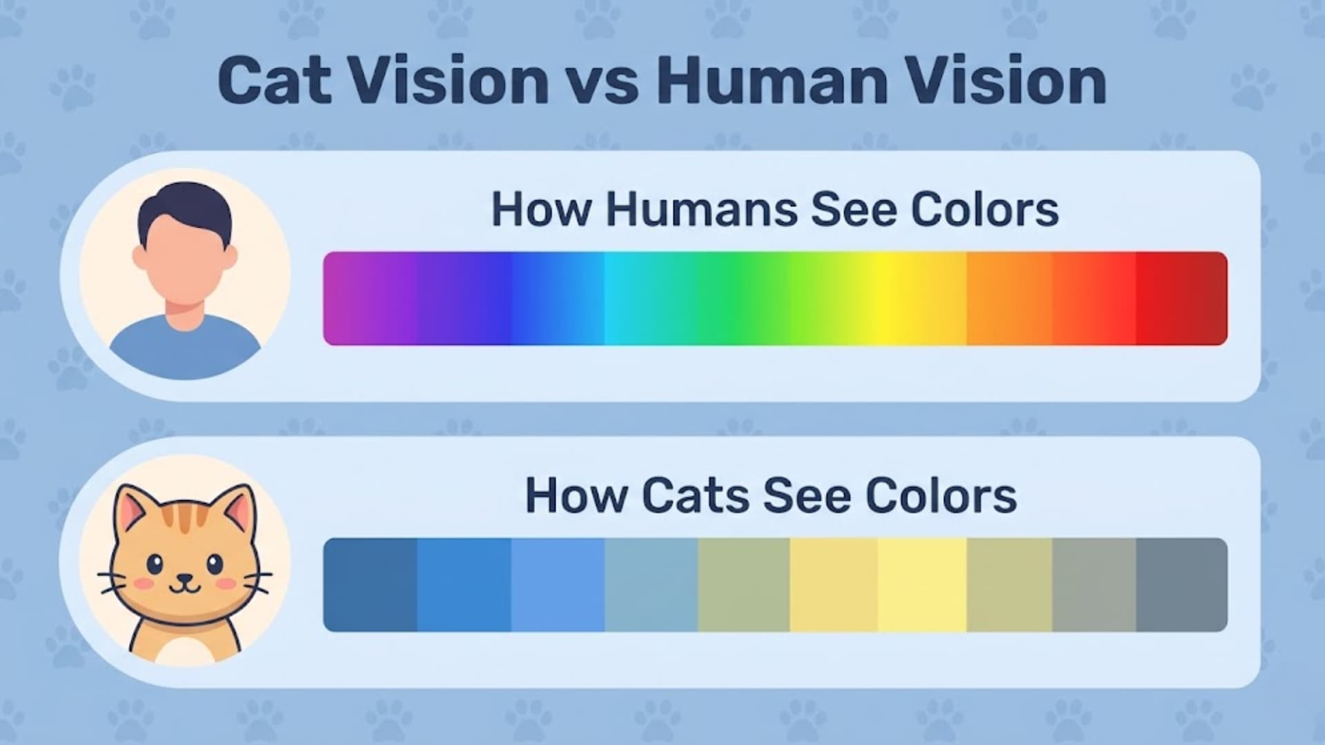 Infographic comparing cat vision vs human vision, soft blue background with subtle paw print pattern