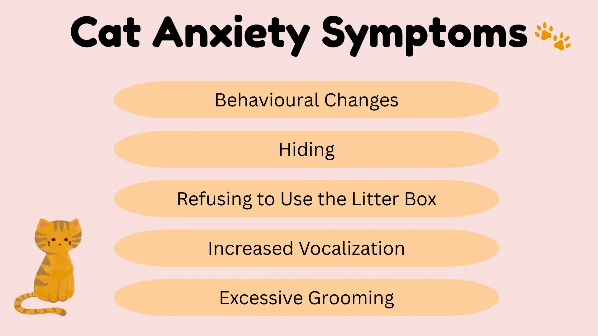 Infographic listing cat anxiety symptoms like behavioral changes, hiding, litter box avoidance with a small illustrated cat